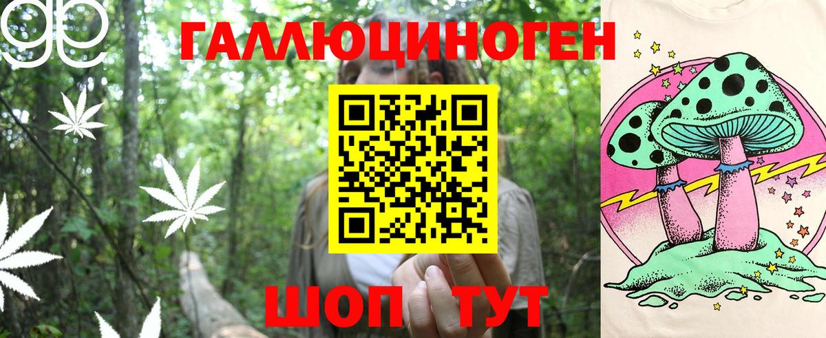 Псилоцибиновые грибы Cubensis Мирный