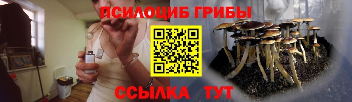 где купить наркотик  Псилоцибиновые грибы MAGIC MUSHROOMS  Галлюциногенные грибы ЛСД  Вход с VPN  Мирный 